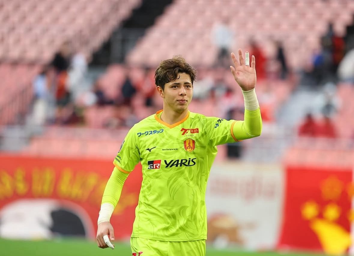 Contenido del artículo